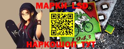 гидра Кудрово