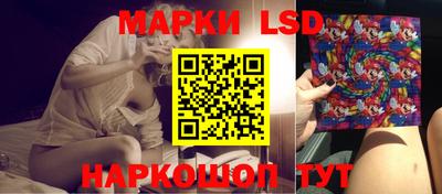 гидра Кудрово