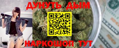 гидра Кудрово
