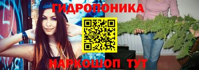 стафф Кудымкар