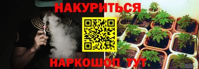 гидра Кудрово