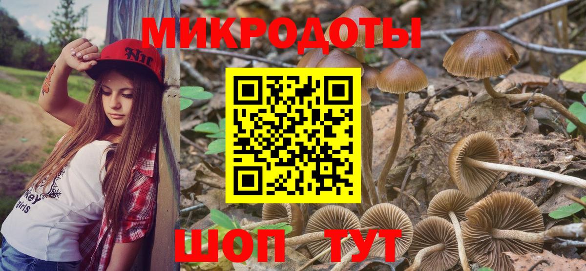 Галлюциногенные грибы Psilocybe Кимры