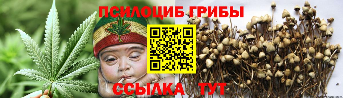 Галлюциногенные грибы Psilocybe  Галлюциногенные грибы Psilocybine cubensis  Кимры  Вход с VPN 